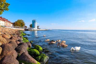 По морским просторам на катере из Балтийска