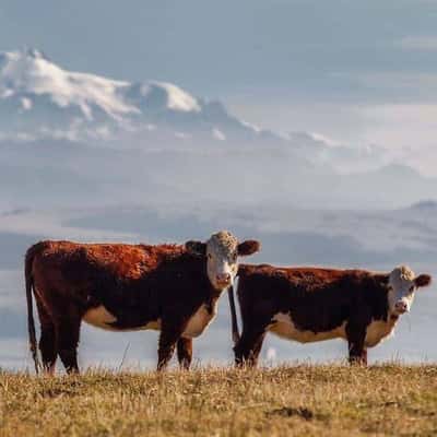 Фантастические рассветы и закаты в горах в трехдневном туре