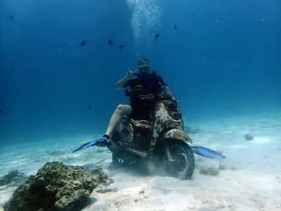 Дайвинг с персональным инструктором в Андаманском море
