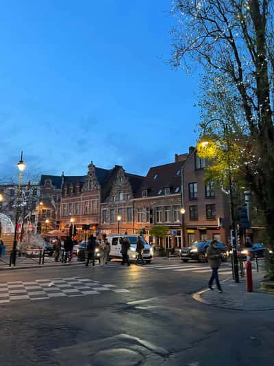 Два города: Брюссель и Антверпен за один день