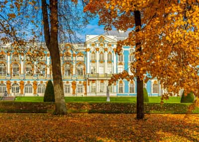День за днем. Петербургские истории. Тур на 5 дней. Осень-весна