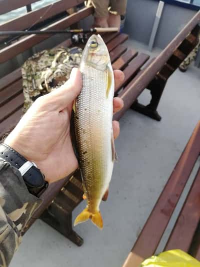 Рыбалка на Байкале на кораблях Экскурсия цена 120000₽