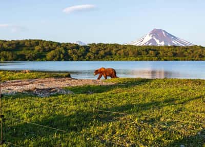 Южно-Камчатский заказник и Курильское озеро. Джип-тур на Камчатку
