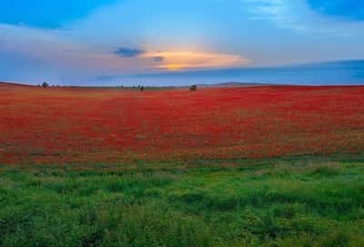 Габала - частичка Швейцарии на азербайджанской земле