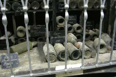 Ода виноградной лозе: Массандра и Музей виноделия