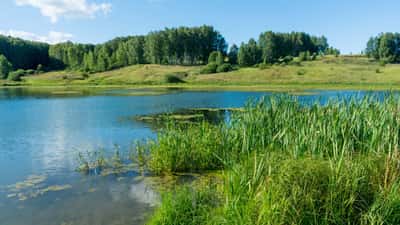 Экскурсия в Керженский заповедник