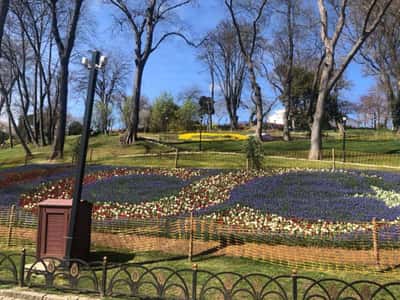 Фестиваль тюльпанов в Стамбуле (с 1 по 30 апреля)
