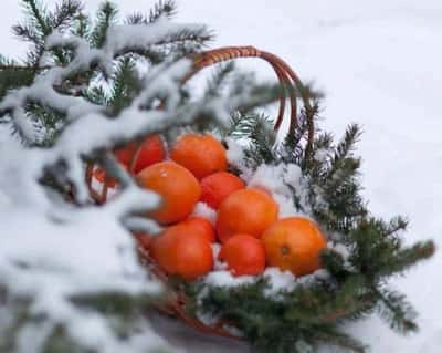 «Новый год на высоте! 333 метра над уровнем моря» - авторский тур