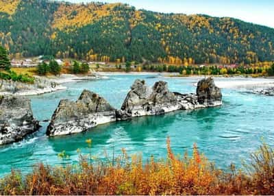 Осенняя сила Алтая