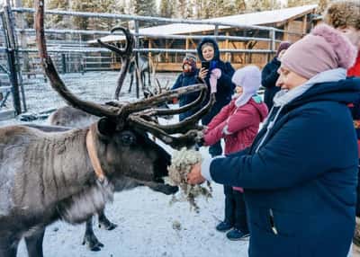 Сияние Севера. Полное погружение на Кольском полуострове. Тур с англоговорящим гидом