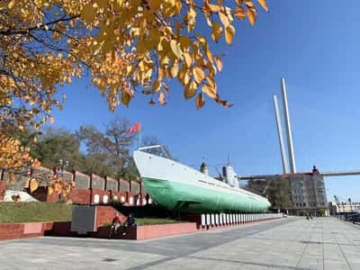 Обзорная экскурсия по Владивостоку (3 часа)