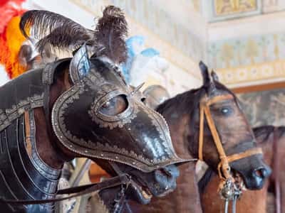 Эрмитаж: экскурсия по Рыцарскому залу (аудиотур без входных билетов)