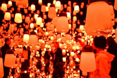 TeamLab Planets TOKYO Digital Art Museum: входной билет