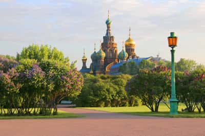 «Треугольник смерти» в центре Петербурга