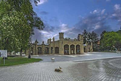 Кисловодск: волшебная аудиоэкскурсия по следам Чебурашки