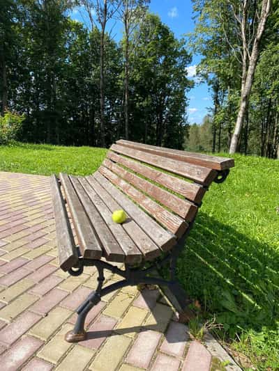 Индивидуальная поездка в Талашкино-Фленово