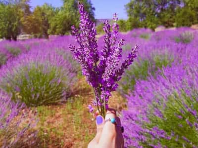 Сокровища Бурдура: античная Кибира, озеро Салда, лавандовые поля из Кемера