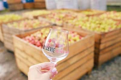 Экскурсия с дегустацией на производство сидра от компании Bullevie (18+)