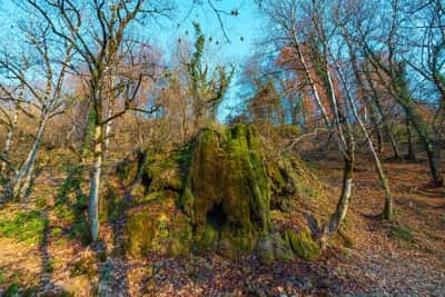 В Гах сквозь чудеса природы (тур на 6 дней)