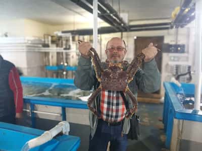 Мыс Тобизина: мореферма с дегустацией и катание на сапах