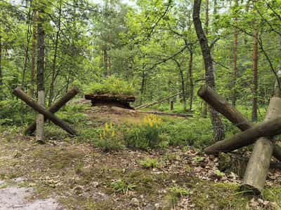 НЕтуристический маршрут. Ожившая военная история