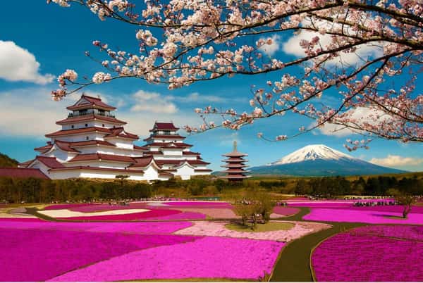 Палитра Японии: тур-знакомство со Страной восходящего солнца