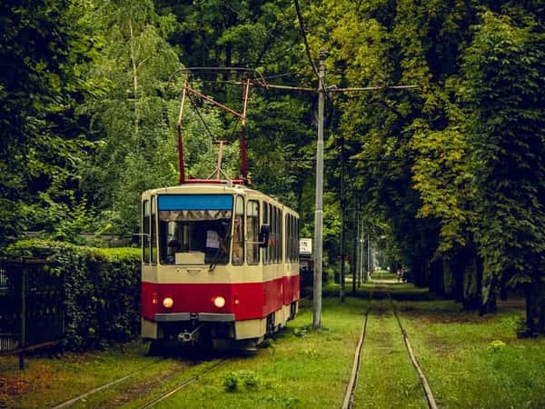По аллеям Хуфена, или В гостях у Кёнигсберга
