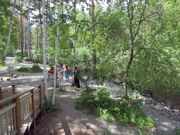 Город науки Академгородок