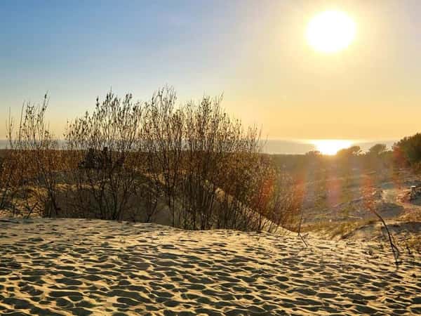 Куршская коса и Зеленоградск за один день