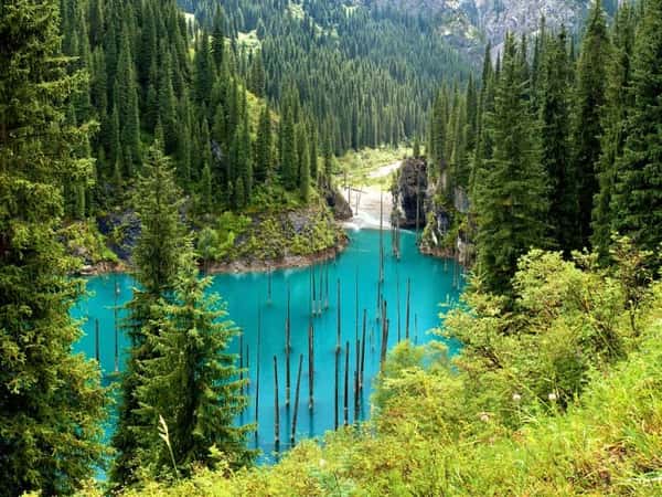 Чарынский каньон, Долина замков, озёра Кольсай и Кайынды - из Алматы