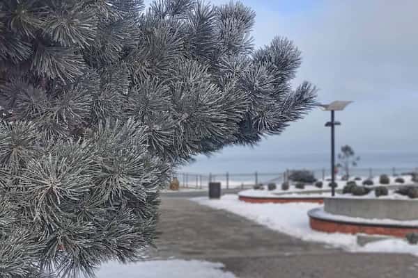 Маховик времени: Зеленоградск