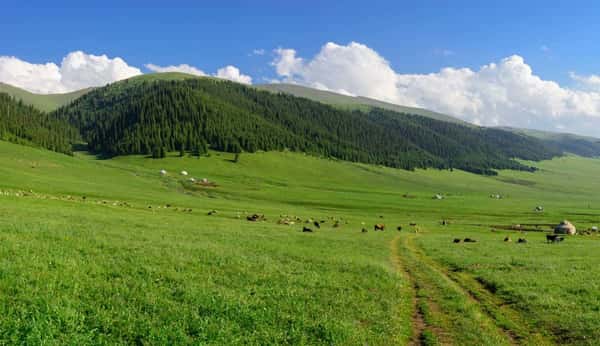 Плато Асы и водопад Аюлы: групповая экскурсия