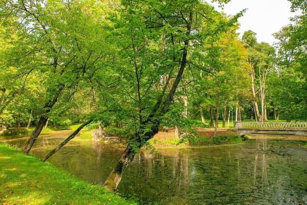 Прогулка по царскому саду в Риге