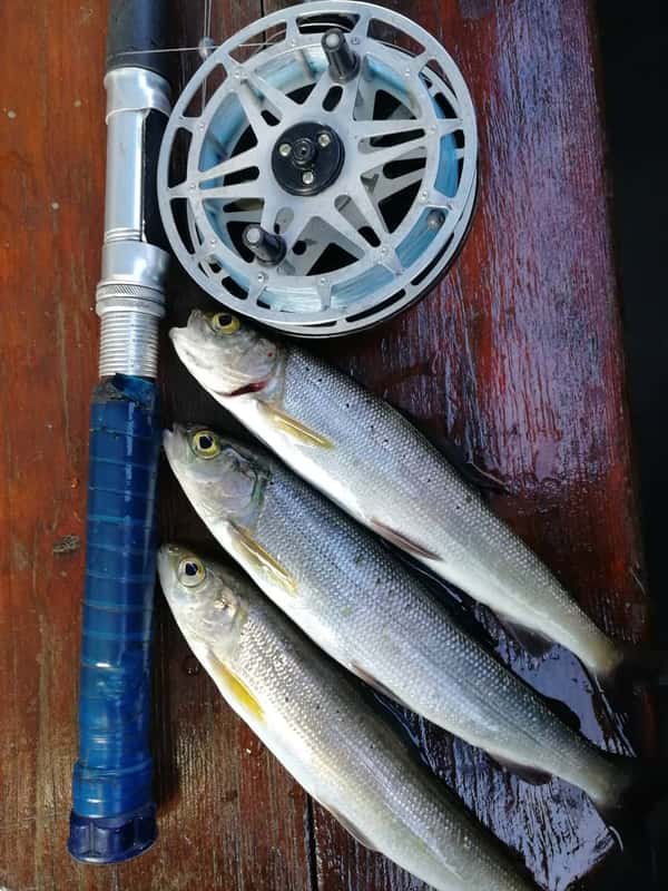 Рыбалка в сердце Байкала - на острове Ольхон