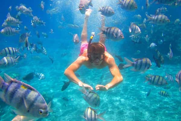 Острова Корал и Рача на роскошном катамаране Hype (гид англ. яз.)