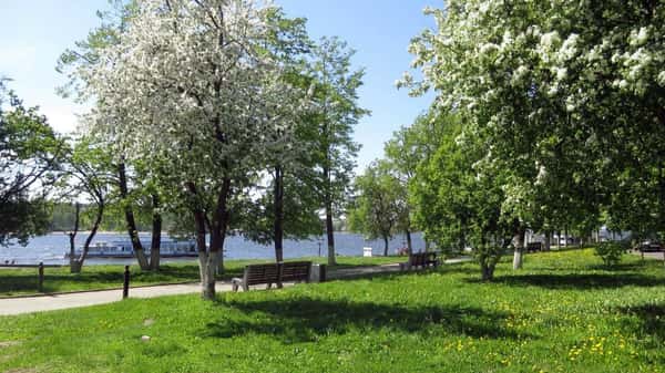 Кострома для женщин
