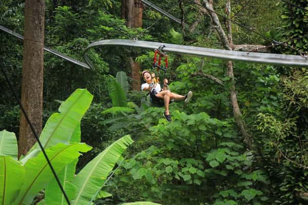 Подвесной мост Zipline