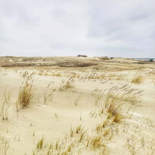 Куршская коса, Зеленоградск, замок и сыроварня