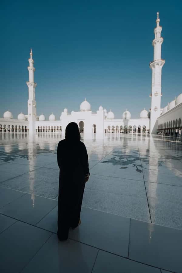 Из Аджмана в Абу-Даби: обзорная экскурсия