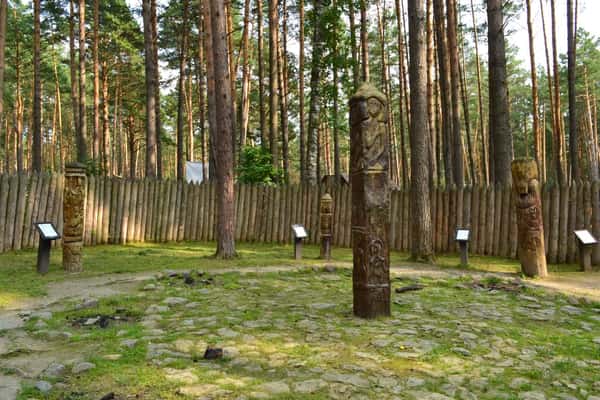 Экскурсия в природном парке Оленьи ручьи (без трансфера)