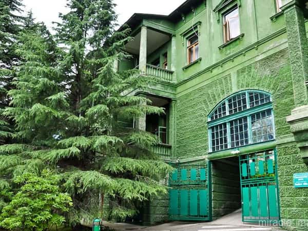По улицам советского Сочи