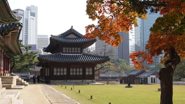 Путешествие по Южной Корее: два мегаполиса и курортные острова Чеджудо и Удо