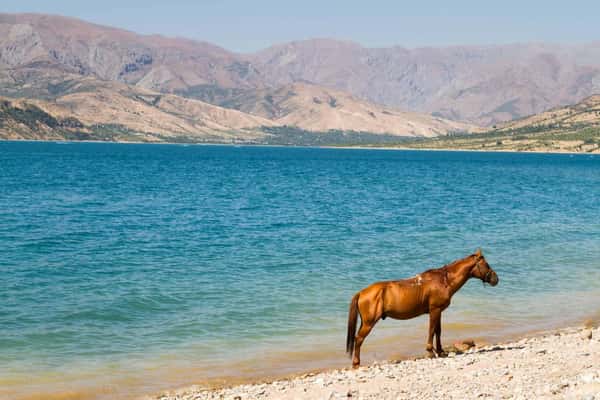 Курорт Амирсой, горы Чимган и озеро Чарвак
