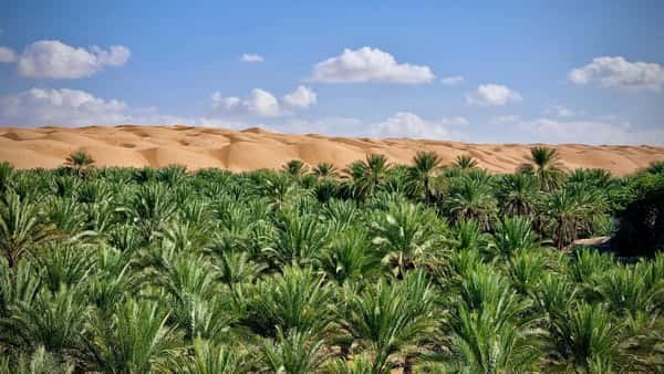 Вади Хавир и пустыня Рамлат-эль-Вахиба - активный день в Омане