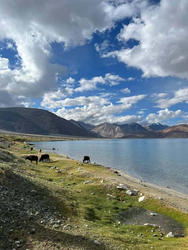 Большое путешествие в Королевство Ладакх: 12 дней в Малом Тибете