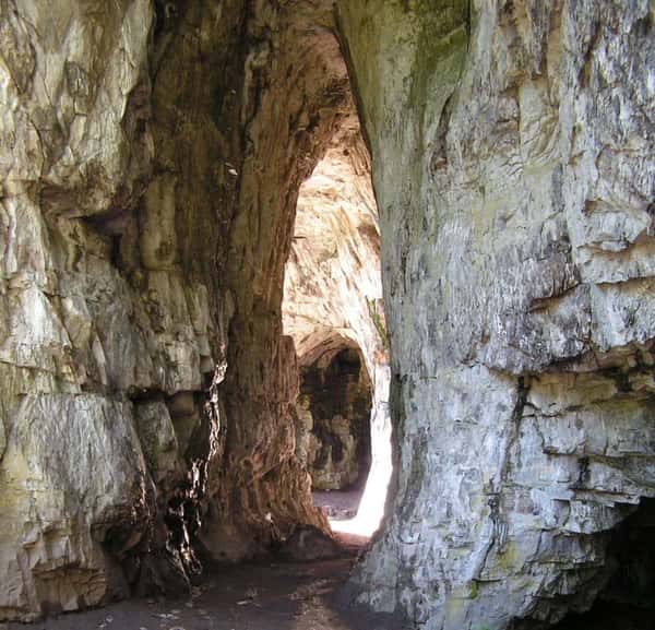 По Золотому кольцу Алтая: программа на выбор