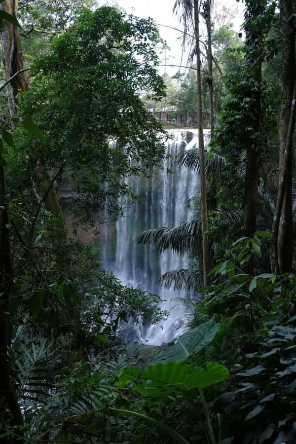 Из Муйне - к самому высокому водопаду южного Вьетнама