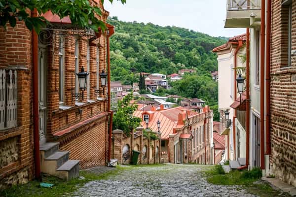За вином в Кахетию: тур только для вашей компании