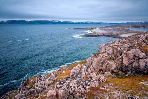 Териберка и морская прогулка за 1 день