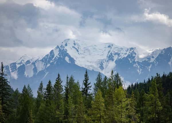 Летние Алтайские выходные